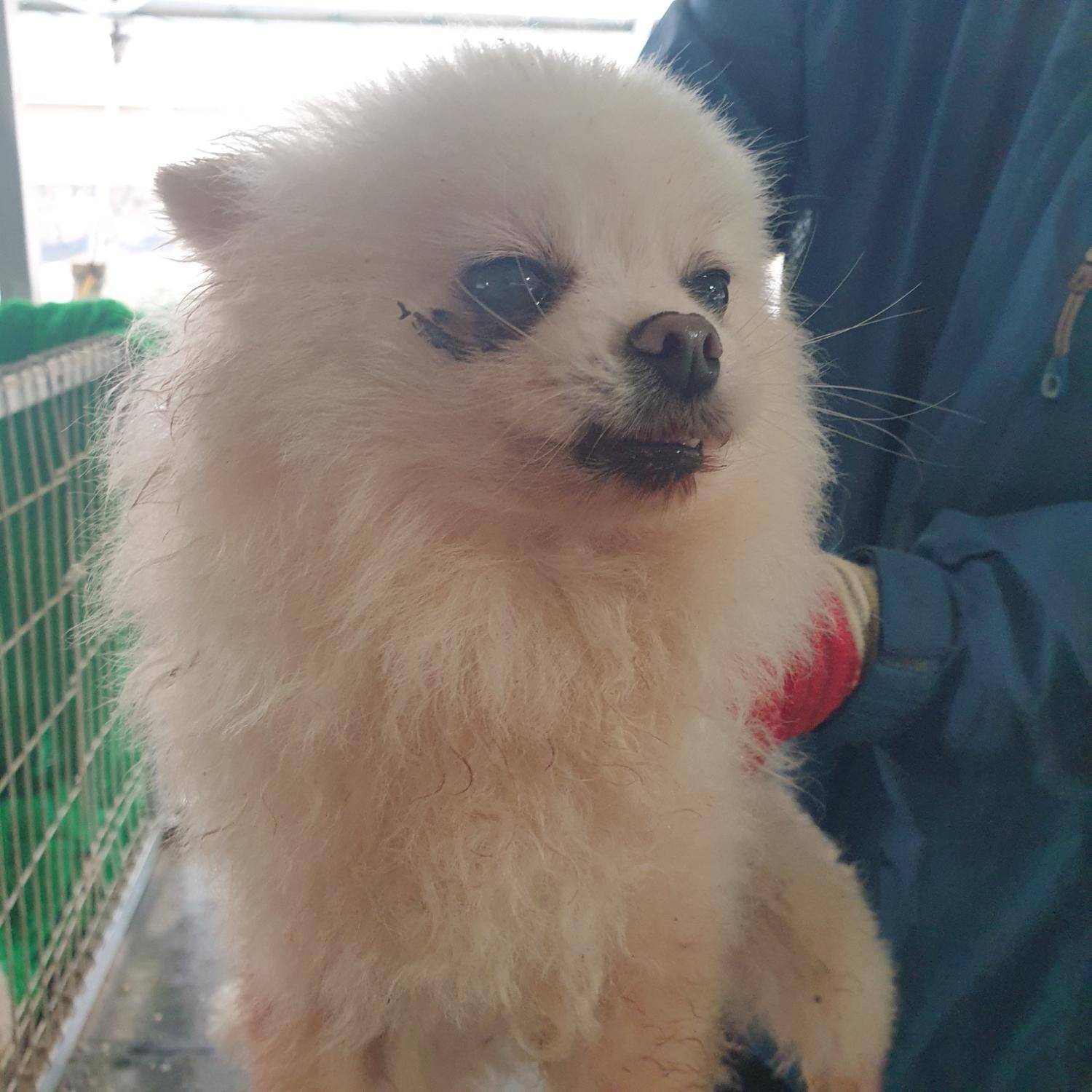 남양동물보호센터_441553202401211